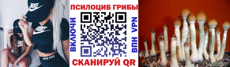 даркнет сайт  Челябинск  MEGA зеркало  Галлюциногенные грибы прущие грибы 
