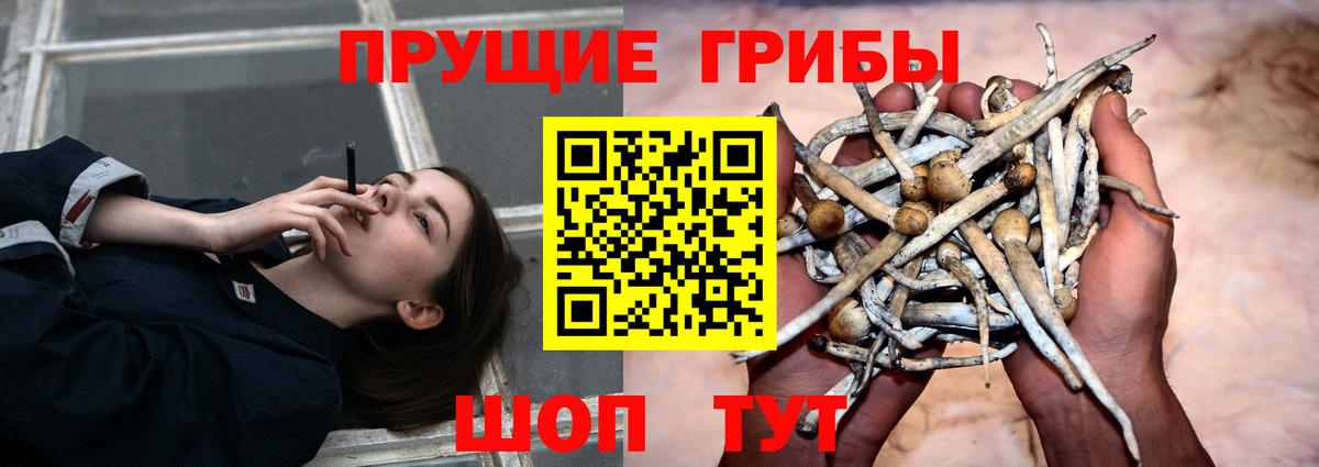 Челябинск  Псилоцибиновые грибы MAGIC MUSHROOMS  Вход с VPN 